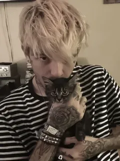 🥸 Lil Peep Lil Peep, Muzyk, Kot, Tatuaż, Emo rap telegram sticker