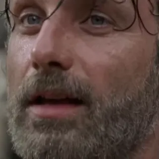 😌 Rick Grimes The Walking Dead rick grimes, the walking dead, andrew lincoln, zombie, horror, tv show telegram sticker