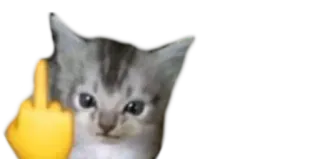 😠 cat, kitten, middle finger, emoji telegram sticker