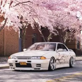 🌸 Auto, Veicolo, Automobile, Nissan Skyline, Auto bianca, Fiori di ciliegio, Auto sportiva telegram sticker
