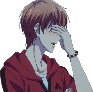 🤦‍♂️ telegram sticker