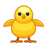 🐥