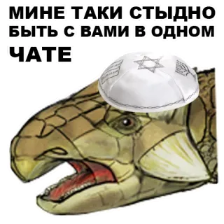 👦 МНЕ ТАКИ СТЫДНО БЫТЬ С ВАМИ В ОДНОМ ЧАТЕ dinosauro, kippah, vergogna, chat, imbarazzato whatsapp sticker