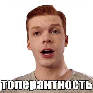 🏳️‍🌈 ТОЛЕРАНТНОСТЬ tolerance, Russian, Cameron Monaghan, meme, sticker whatsapp sticker