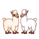 ❤️ alpaga, lamas, mignon, animaux, dessin animé, autocollant whatsapp sticker