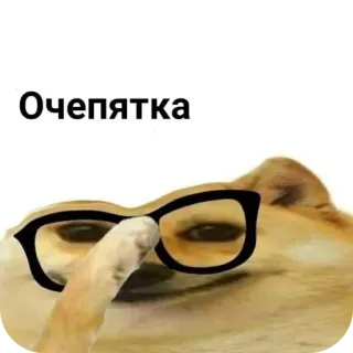 🥽 Очепятка Meme, Doge, Chien, Erreur, Lunettes, Faute de frappe, Typon telegram sticker