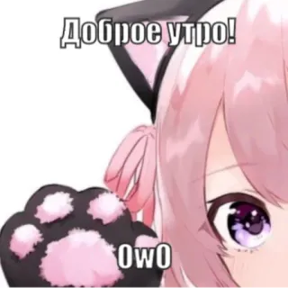 😘 Доброе утро! animé, fille chat, matin, salut, owo telegram sticker