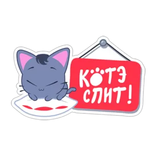😴 КӦТЭ СЛИТ! Katze, Cartoon, niedlich, Kätzchen, schlafend, Kissen, Schild, Tier whatsapp sticker