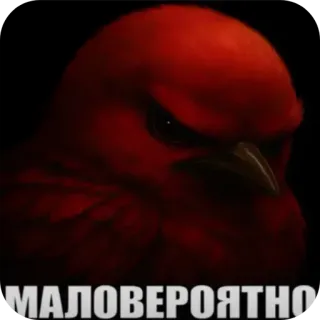 🐦‍⬛️ МАЛОВЕРОЯТНО bird, red bird, angry, doubtful, meme, skeptical, expression telegram sticker