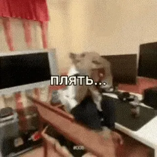 🤬 Плять... cussing, russian, slang, swear telegram sticker