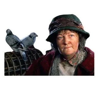 🐦 mulher, pombos, pássaros, chapéu, casaco, animal whatsapp sticker