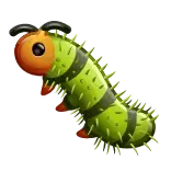 🐛