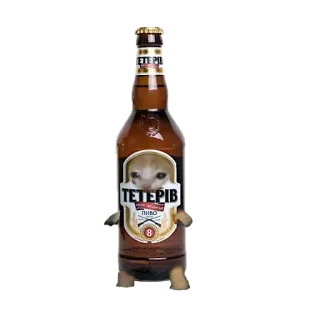 ❤️ ТЕТЕРІВ ПИВО beer, bottle, cat, animal, humor telegram sticker