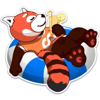 👌 แพนด้าแดง, ห่วงยาง, ฤดูร้อน, พักผ่อน, การ์ตูน, สัตว์, เครื่องดื่ม telegram sticker