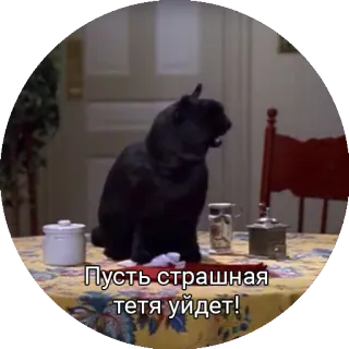 😩 Пусть страшная тетя уйдет! 猫, 動物, テーブル, キッチン telegram sticker