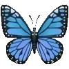 🦋