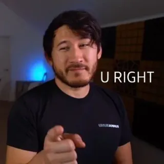 ✅ U RIGHT markiplier, mème, pointer, toi raison, drôle, réaction, célébrité telegram sticker