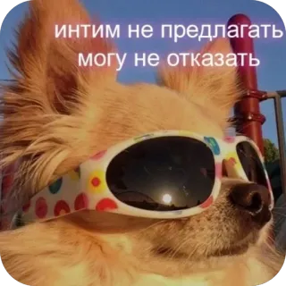 🫥 интим не предлагать могу не отказать telegram sticker