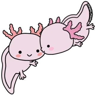 ❤️ ajolote, lindo, rosa, animal, dibujos animados whatsapp sticker