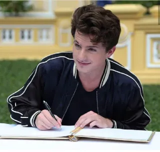 🥒 Charlie Puth cantante, compositor, celebridad, Charlie Puth, músico whatsapp sticker