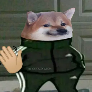 👋 @HOLYPULPACTION 도지, 개, 파도, 츄리닝, 밈 telegram sticker