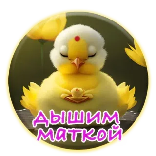 🙏 дышим маткой птица, йога, медитация, милый, дзен telegram sticker