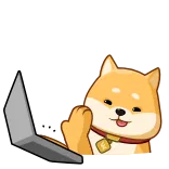 👨‍💻 doge, 狗, 柴犬, 笔记本电脑, 表情包, 搞笑, 可爱 telegram sticker