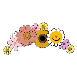 🌷 fiore, faccina, margherita, floreale, decorazione, cerchietto whatsapp sticker