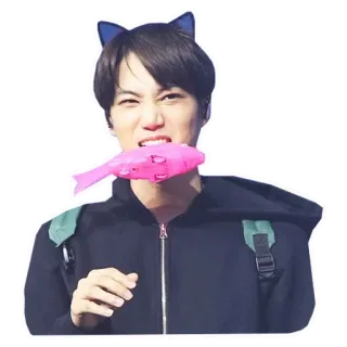 😺 persona, hombre, retrato, asiático, kpop, orejas de gato, pez whatsapp sticker