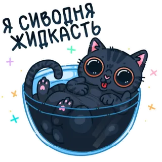 🐱 Я СИВОДНЯ ЖИДКАСТЬ telegram sticker