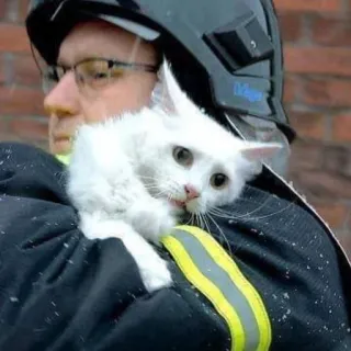 پیشته :| telegram stickers