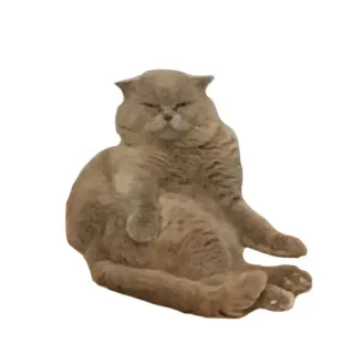 😡 gato, lindo, gracioso, perezoso, gordito telegram sticker