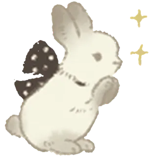 🐇