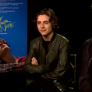 Armie hammer & timothee chalamet.🥀 whatsapp stickers