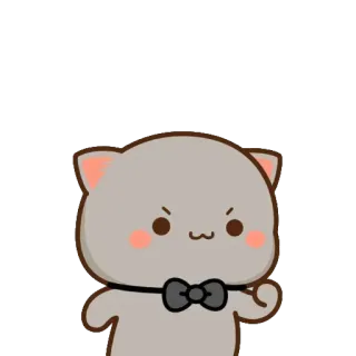 💪 cat, cute, cartoon, angry, adorable, bow tie whatsapp sticker