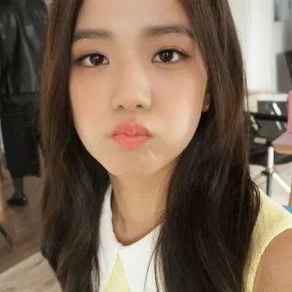 🌸 Jisoo kpop, jisoo, blackpink, idol, cantante, cara, retrato whatsapp sticker