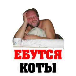 👌 ЕБУТСЯ КОТЫ ผู้ชาย, เตียง, แมว, รัสเซีย, หยาบคาย telegram sticker