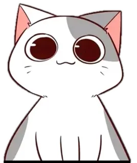 🥹 猫, 可爱, 动物, 贴纸 whatsapp sticker