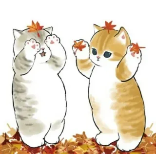 💗 koty, kocięta, zwierzęta, słodkie, jesień, jesień, liście telegram sticker
