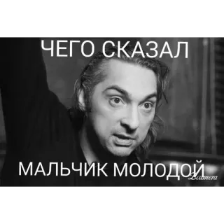 🤨 ЧЕГО СКАЗАЛ
МАЛЬЧИК МОЛОДОЙ telegram sticker