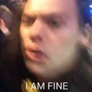 👍 I AM FINE meme, internet meme, funny, humor telegram sticker