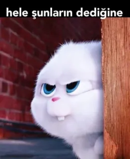 👀 hele şunların dediğine 토끼, 밈, 만화, 웃긴, 화난, 흰색 whatsapp sticker