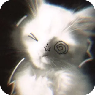🐱 cat, sticker, animal, cute, pet, white cat telegram sticker