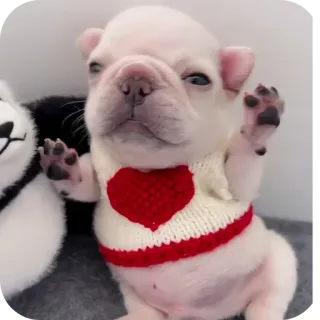 🐶 telegram sticker