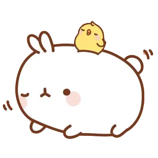 🐥 Molang molang, pui pui, cute, kawaii, cartoon, animal, rabbit, chick telegram sticker