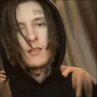 🤫 573 Gesicht, Porträt, Mann, Tattoo, Hoodie, Dreadlocks telegram sticker