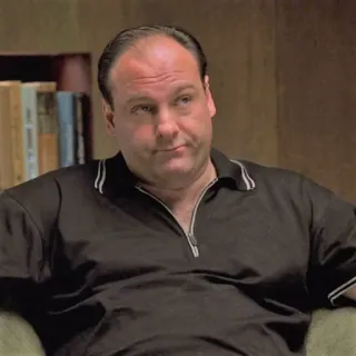 🤨 Tony Soprano The Sopranos ทีวี, อาชญากรรม, มาเฟีย, ดราม่า telegram sticker
