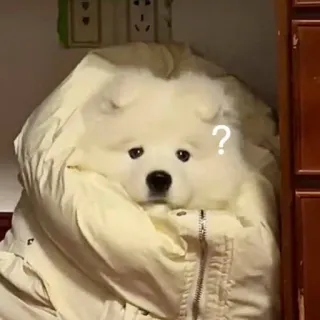 ❓ perro, confundido, signo de interrogación, chaqueta, samoyedo telegram sticker
