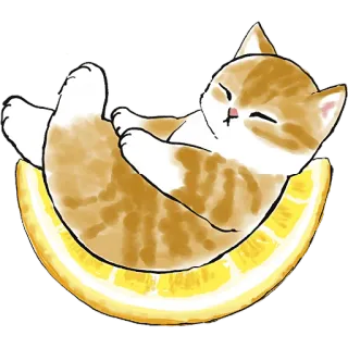 🍋 猫, 小猫, 橙色, 柠檬, 可爱, 宠物, 动物 telegram sticker