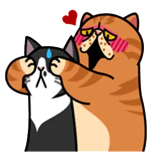 🙈 кошки, любовь, милые, животные, эмоции, привязанность whatsapp sticker